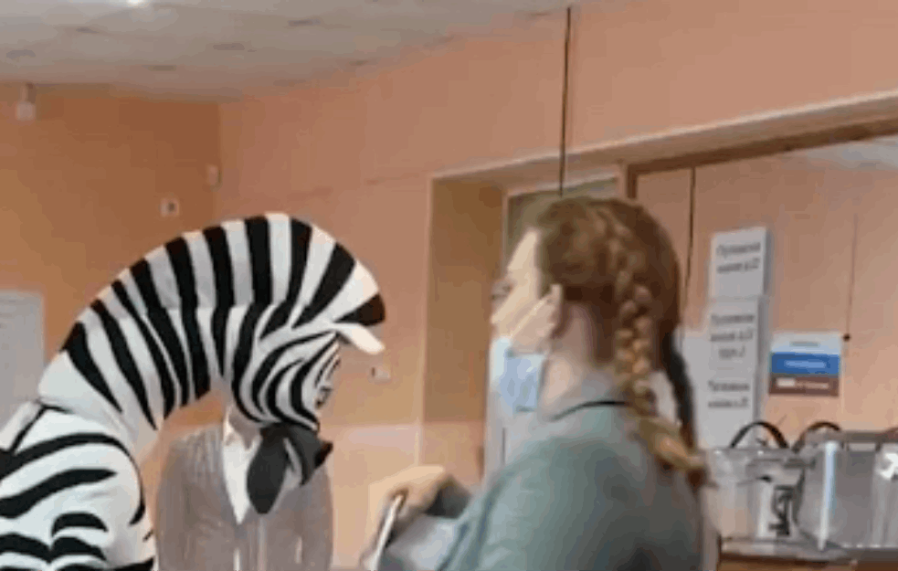 NA IZBORIMA U RUSIJI GLASALI ZEBRA I DEDA MRAZ: Veseli učesnici glasanja u najvećoj zemlji sveta! (VIDEO)